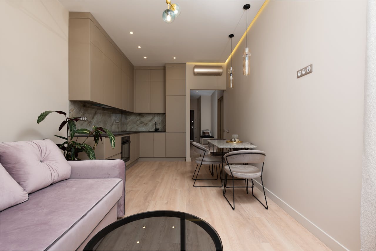 Interior of contemporary home with sofa with pillows next to open kitchen with cupboards near table with chairs near potted plant